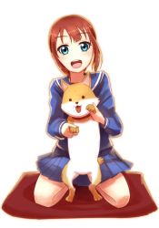 Rule 34 | 10s, 1girl, blue eyes, brown hair, dog, kosaka yukiho, looking at viewer, love live!, love live! school idol project, open mouth, school uniform, shiba inu, shingo (picturepuzzle), short hair, smile, solo