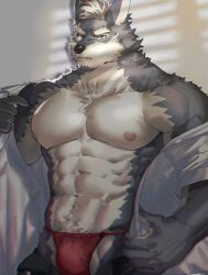 Rule 34 | 1boy, abs, bara, bare pectorals, bulge, cowboy shot, fundoshi, highres, huge eyebrows, japanese clothes, large pectorals, light frown, looking at viewer, male focus, mature male, muscular, muscular male, navel, navel hair, neumo, nipples, off shoulder, opened by self, original, pectorals, red fundoshi, robe, short hair, solo, stomach, wolf boy
