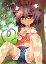 Rule 34 | 1girl, alternate costume, animal ears, breasts, censored, cleavage, convenient censoring, female focus, grass, grey hair, highres, leaning back, looking at viewer, midriff, mouse ears, mouse tail, navel, nazrin, off shoulder, red eyes, shirt, short hair, shorts, sitting, smile, solo, spread legs, tail, touhou, tree, zamudelin