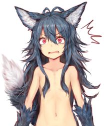 Rule 34 | 1girl, ^^^, animal ear fluff, animal ears, antenna hair, blue hair, collarbone, commentary request, fang, fenrir (shingeki no bahamut), flat chest, granblue fantasy, hair between eyes, hair censor, hair over breasts, highres, long hair, looking at viewer, navel, nude, open mouth, red eyes, simple background, solo, sukemyon, surprised, tail, upper body, white background, wide-eyed, wolf ears, wolf tail