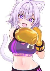 Rule 34 | 1girl, :d, @-you (you 2023 8 16), ahoge, alternate costume, animal ear fluff, animal ears, boxing gloves, breasts, cat ears, cat girl, cat tail, character name, commentary, crossed bangs, double-parted bangs, gloves, hair between eyes, highres, hololive, large breasts, looking at viewer, messy hair, midriff, navel, nekomata okayu, onigiri print, open mouth, paw print, punching, purple eyes, purple hair, purple sports bra, short hair, simple background, smile, solo, sports bra, tail, v-shaped eyebrows, virtual youtuber, white background, yellow gloves