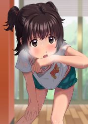 Rule 34 | 1girl, absurdres, akagi miria, bent over, breath, brown eyes, brown hair, green shorts, hand on own thigh, hand to own mouth, heavy breathing, highres, idolmaster, idolmaster cinderella girls, indoors, shirt, short hair, short shorts, short sleeves, shorts, sinkunnuko, solo, sweat, nervous sweating, thighs, two side up, wet, wet clothes, wet shirt, white shirt, wiping face, wiping sweat