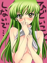 Rule 34 | 1girl, bad id, bad pixiv id, blush, breasts, c.c., clothes lift, code geass, green hair, izumo neko, long hair, looking at viewer, no bra, shirt lift, solo, text focus, translation request, yellow eyes