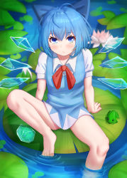 Rule 34 | 1girl, absurdres, barefoot, blue bow, blue dress, blue eyes, blue hair, bow, cirno, closed mouth, dress, hair bow, highres, ice, ice wings, lily pad, looking at viewer, masamika10086, puffy short sleeves, puffy sleeves, red ribbon, ribbon, short hair, short sleeves, sitting, solo, touhou, wings