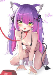 Rule 34 | 1girl, :d, absurdres, all fours, animal collar, animal ear fluff, animal ears, artist name, bikini, black bikini, blush, bowl, breasts, collar, commentary, demon tail, ear piercing, fang, gradient hair, hair ornament, hair ribbon, hairclip, heart, highres, hololive, kemonomimi mode, kkato, leash, leg tattoo, long hair, looking at viewer, micro bikini, mole, mole on breast, mole on neck, mole on thigh, multicolored hair, nyan, open mouth, pet bowl, piercing, pink hair, purple hair, ribbon, simple background, skin fang, small breasts, smile, socks, solo, swimsuit, symbol-only commentary, tail, tattoo, tokoyami towa, tsurime, two-tone hair, two side up, viewer holding leash, virtual youtuber, white background, white socks, yellow eyes