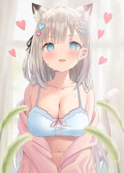 Rule 34 | 1girl, @ @, akino ell, animal ear fluff, animal ears, bare shoulders, blue eyes, blush, breasts, cat ears, cat girl, cat tail, cat teaser, cleavage, collarbone, commentary request, extra ears, fang, grey hair, hair ornament, hairclip, heart, heart hair ornament, highres, jacket, large breasts, looking at viewer, navel, off shoulder, open clothes, open jacket, open mouth, original, pink jacket, solo, stomach, sweat, sweatdrop, tail