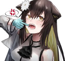 Rule 34 | 1girl, anger vein, animal ears, arknights, arm up, bare shoulders, blue gloves, blush, breasts, brown eyes, brown hair, cat ears, colored inner hair, fangs, finger in own mouth, folinic (arknights), gloves, green hair, grey jacket, hair ornament, highres, horn/wood, jacket, long hair, long sleeves, looking at viewer, medium breasts, multicolored hair, off shoulder, open clothes, open jacket, see-through, shirt, solo, speech bubble, spoken anger vein, sweat, teeth, two-tone hair, upper body, v-shaped eyebrows, white shirt