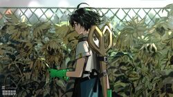 Rule 34 | 1boy, ahoge, apron, aqua eyes, artist logo, artist name, black apron, black hair, chain-link fence, closed mouth, commentary request, copyright notice, cowboy shot, extraspiky, fence, flower, gloves, green gloves, holding, holding hose, hose, light smile, looking at viewer, male focus, original, outdoors, oversized object, scissors, shirt, short hair, short sleeves, sideways glance, solo, sunflower, watering, watermark, white shirt, wilted flower
