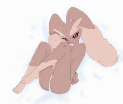 Rule 34 | 1girl, :3, animal feet, animal nose, barefoot, bed sheet, black sclera, blush, body fur, brown fur, closed mouth, clothed pokemon, colored sclera, creatures (company), female focus, flat chest, from above, full body, furry, furry female, game freak, gen 4 pokemon, highres, kiki (kiki1041101), legs, long ears, looking at viewer, lopunny, lying, nintendo, on side, panties, pokemon, pokemon (creature), rabbit ears, rabbit girl, rabbit tail, red eyes, simple background, solo, thighs, topless, two-tone fur, underwear, underwear only, white background, white panties