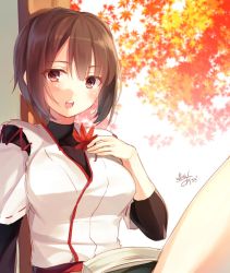 Rule 34 | 10s, 1girl, artist name, blush, brown eyes, brown hair, hand on own chest, highres, hyuuga (kancolle), japanese clothes, jpeg artifacts, kantai collection, leaf, maple leaf, maple tree, one-hour drawing challenge, open mouth, short hair, signature, solo, toosaka asagi, tree