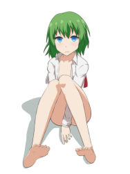 Rule 34 | 1girl, bare legs, barefoot, between legs, blue eyes, bottomless, cato (monocatienus), collarbone, commentary, convenient arm, convenient censoring, feet, flat chest, full body, green hair, hand between legs, knees together feet apart, long sleeves, looking at viewer, medium hair, naked shirt, no bra, open clothes, open shirt, parted lips, shiki eiki, shirt, simple background, sitting, soles, solo, touhou, white background, white shirt