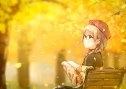 Rule 34 | 1girl, autumn leaves, bench, beret, black-framed eyewear, blurry, bokeh, book, braid, closed mouth, depth of field, from side, glasses, green eyes, grey hair, hat, hiten (hitenkei), holding, holding book, leaf, open book, original, sitting, solo, sweater