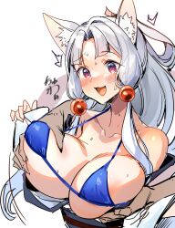 Rule 34 | 1girl, ajishio, animal ears, bikini, breasts, fox ears, grabbing, grabbing from behind, groping, highres, huge breasts, open clothes, open mouth, open shirt, surprised, swimsuit, touhoku itako, voiceroid, white hair