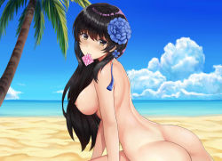 Rule 34 | 1girl, absurdres, ass, beach, black hair, blue flower, blue sky, blush, breasts, closed mouth, cloud, condom, condom in mouth, day, eroge- (artist), flower, girls&#039; frontline, hair flower, hair ornament, hairband, highres, large breasts, long hair, looking at viewer, mole, mole under eye, mouth hold, nipples, nude, ocean, outdoors, palm tree, sand, sidelocks, sky, smile, solo, tree, twisted torso, type 95 (girls&#039; frontline), very long hair, white hairband, yellow eyes
