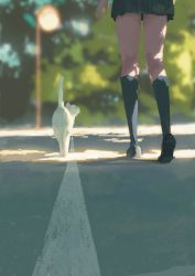 Rule 34 | 1girl, absurdres, animal focus, blurry, blurry background, cat, highres, legs, original, outdoors, pleated skirt, road, saisho (qpoujr), scenery, shoes, skirt, socks, tree, white cat