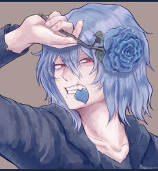 Rule 34 | 1boy, arm up, black jacket, blue flower, blue hair, blue rose, boku no hero academia, brown background, clenched teeth, collarbone, commentary request, flower, hair between eyes, highres, holding, holding flower, inukai (inuuowoukai), jacket, long sleeves, looking at viewer, male focus, medium hair, mole, mole under mouth, mouth hold, red eyes, rose, scar, scar across eye, scar on face, shigaraki tomura, simple background, solo, teeth, thorns, twitter username