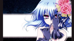 Rule 34 | blue hair, dress, flower, hayate no gotoku!, red eyes, short hair, suirenji ruka