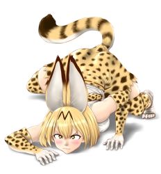 Rule 34 | 10s, 1girl, animal ears, atchy, bow, bowtie, elbow gloves, gloves, high-waist skirt, highres, kemono friends, print bow, print bowtie, print gloves, print neckwear, print skirt, serval (kemono friends), serval print, serval tail, shirt, simple background, skirt, sleeveless, sleeveless shirt, solo, striped tail, tail, white background