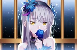 Rule 34 | 1girl, bang dream!, bare shoulders, black dress, black hairband, blue flower, blue rose, blurry, blurry background, choker, commentary, covered mouth, depth of field, dress, english commentary, flower, flower over mouth, hair between eyes, hair flower, hair ornament, hairband, hand up, highres, holding, holding flower, lace, lace-trimmed hairband, lace trim, long hair, looking at viewer, minato yukina, portrait, purple choker, rose, silver hair, sleeveless, sleeveless dress, solo, sparkle, the cold, very long hair, yellow eyes