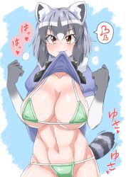 Rule 34 | 1girl, alternate breast size, animal ears, bikini, black hair, blush, breasts, brown eyes, clothes lift, collarbone, common raccoon (kemono friends), covered erect nipples, elbow gloves, gloves, green bikini, grey hair, groin, hands up, heart, highres, kemono friends, large breasts, lifting own clothes, medium hair, micro bikini, mouth hold, multicolored hair, navel, no pants, raccoon ears, raccoon girl, raccoon tail, shiny skin, short sleeves, smile, solo, spoken heart, stomach, sweater, sweater lift, swimsuit, tail, trichina, upper body, white hair