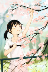 Rule 34 | 1girl, arm up, black hair, blush, brown eyes, cherry blossoms, collarbone, commentary, dress, english commentary, fence, highres, inami hatoko, open mouth, original, outdoors, short hair, short sleeves, short twintails, solo, teeth, twintails, upper teeth only, white dress