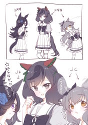 Rule 34 | 3girls, :d, :o, ?, animal ears, arrow (symbol), black hair, black headwear, blue flower, blue rose, blush, bow, brown eyes, ear ribbon, flower, frilled skirt, frills, green bow, hair bow, hair over one eye, hands up, hat, hat flower, horse ears, horse girl, horse tail, leaning to the side, mayano top gun (umamusume), multiple girls, nice nature (umamusume), open mouth, ouri (aya pine), parted lips, pleated skirt, puffy short sleeves, puffy sleeves, purple eyes, rice shower (umamusume), rose, school uniform, shirt, short sleeves, skirt, smile, tail, thighhighs, tilted headwear, tracen school uniform, translation request, two side up, umamusume, white thighhighs
