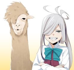 Rule 34 | 1girl, 1other, ahoge, alpaca, asashimo (kancolle), beige background, crossed arms, gradient background, grey eyes, hair over one eye, halterneck, kantai collection, long hair, long sleeves, looking at viewer, moti coi, ponytail, school uniform, sharp teeth, shirt, silver hair, teeth, white background, white shirt