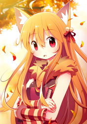 Rule 34 | 1girl, absurdres, ahoge, animal, animal around neck, animal ear fluff, animal ears, autumn leaves, bell, blush, book, commentary request, crossed arms, detached sleeves, doridori, dress, fox, fox ears, hair bell, hair between eyes, hair ornament, hair ribbon, highres, holding, holding book, jingle bell, leaf, long hair, looking at viewer, open mouth, professor (ragnarok online), ragnarok online, red dress, red eyes, red ribbon, red sleeves, ribbon, sleeveless, sleeveless dress, solo, striped sleeves, tree, upper body, yellow sleeves