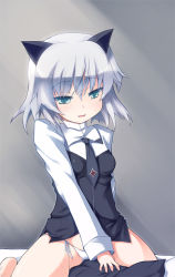 Rule 34 | 1girl, animal ears, cat ears, crotch rub, female masturbation, green eyes, masturbation, panties, pillow, pillow sex, safi, sanya v. litvyak, short hair, side-tie panties, silver hair, solo, strike witches, underwear, world witches series