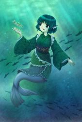 Rule 34 | 1girl, animal ears, blue eyes, blue hair, bubble, commentary request, drill hair, fins, fish, frilled kimono, frills, full body, green kimono, head fins, highres, japanese clothes, kimono, long sleeves, looking at animal, mermaid, monster girl, obi, open mouth, parasite oyatsu, parody, sash, school of fish, short hair, solo, style parody, touhou, underwater, wakasagihime, wide sleeves, zun (style)
