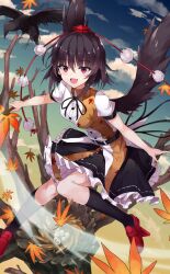 Rule 34 | 1girl, autumn leaves, bare tree, bird, black bow, black bowtie, black hair, black skirt, black socks, black wings, blue sky, blush, bow, bowtie, buttons, cloud, collared shirt, crow, egg, feathered wings, frilled skirt, frills, geta, gradient sky, hand fan, hat, hauchiwa, hide448, holding, holding fan, kneehighs, leaf print, looking at viewer, miniskirt, nest, official art, open mouth, pom pom (clothes), puffy short sleeves, puffy sleeves, red eyes, red footwear, red hat, ribbon, ribbon-trimmed skirt, ribbon trim, shameimaru aya, shirt, short hair, short sleeves, skirt, sky, smile, socks, tengu-geta, tokin hat, touhou, touhou cannonball, tree, white ribbon, white shirt, wind, wings, yellow sky