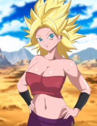 Rule 34 | 10s, 1girl, artist request, bare arms, bare shoulders, black wristband, blonde hair, blue eyes, blurry, breasts, c:, caulifla, cleavage, closed mouth, cloud, collarbone, depth of field, dragon ball, dragon ball super, female focus, field, hands on own hips, highres, large breasts, midriff, navel, neck, outdoors, red tube top, saiyan, shiny skin, short hair, sky, smile, solo, spiked hair, standing, strapless, super saiyan, sweat, tube top, wristband