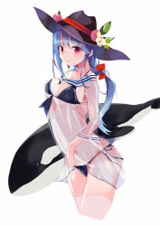 Rule 34 | 1girl, bikini, black bikini, black hat, blue hair, blush, breasts, cleavage, commentary request, cowboy shot, flower, food, fruit, hat, highres, hinanawi tenshi, large breasts, leaf, light blush, long hair, looking at viewer, navel, open mouth, orca, peach, red eyes, red ribbon, ribbon, sailor collar, see-through, simple background, standing, swimsuit, tetsurou (fe+), touhou, white background, white flower