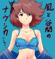 Rule 34 | 1girl, bra, breasts, brown eyes, brown hair, cleavage, closed mouth, commentary request, earrings, jewelry, kaze no tani no nausicaa, kemi (kemi433), large breasts, looking at viewer, medium hair, nausicaa, simple background, smile, solo, underwear, undressing