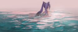 Rule 34 | 1girl, commentary, cone hair bun, english commentary, from behind, genshin impact, hair bun, highres, jea (dark jea), keqing (genshin impact), long hair, outdoors, painterly, partially submerged, purple hair, solo, twintails, water