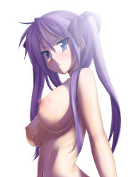 Rule 34 | 00s, 1girl, alternate breast size, breasts, eunos, frown, hair between eyes, hair ribbon, hiiragi kagami, large breasts, lens flare, looking at viewer, lucky star, md5 mismatch, navel, nipples, nude, purple eyes, purple hair, resolution mismatch, ribbon, simple background, solo, source smaller, tsundere, tsurime, twintails, white background