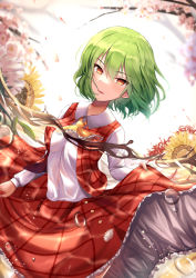 Rule 34 | 1girl, ascot, bad id, bad pixiv id, blurry, blurry background, branch, cherry blossoms, clothes lift, commentary request, day, floating hair, flower, green hair, hair between eyes, highres, kazami yuuka, leaning to the side, lifting own clothes, long sleeves, open clothes, open vest, outdoors, parted lips, petticoat, plaid, plaid skirt, plaid vest, red eyes, shirt, short hair, skirt, skirt lift, solo, sunflower, suzugahama, touhou, vest, water drop, white shirt, yellow ascot