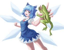 Rule 34 | 1girl, animal, blue bow, blue dress, blue eyes, blue hair, bow, breasts, cirno, collared shirt, cowboy shot, detached wings, dress, foreshortening, frog, greentale (fegdgn), hair bow, highres, holding, holding animal, looking at viewer, medium hair, open mouth, pinafore dress, puffy short sleeves, puffy sleeves, shirt, short sleeves, simple background, sleeveless dress, small breasts, solo, teeth, touhou, upper teeth only, v-shaped eyebrows, white background, white shirt, wings