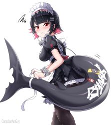 1girl apron black_hair black_pantyhose blush breasts canadiananiguy colored_inner_hair ellen_joe fins fish_tail from_behind highres maid maid_apron maid_headdress measuring medium_breasts multicolored_hair pantyhose red_eyes red_hair shark_tail short_hair simple_background solo tail tape_measure zenless_zone_zero