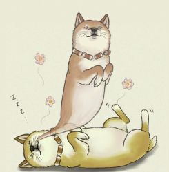 Rule 34 | 7c&#039;, animal focus, dog, closed eyes, giving up the ghost, jewelry, lowres, lying, necklace, shiba inu, sleeping