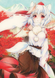 Rule 34 | 1girl, animal ears, autumn leaves, bad id, bad pixiv id, bare shoulders, blush, breasts, detached sleeves, funnyfunny, hakama, hakama skirt, hat, hip vent, inubashiri momiji, japanese clothes, looking at viewer, mountain, nature, pom pom (clothes), red eyes, short hair, silver hair, skirt, solo, tail, tokin hat, touhou, traditional media, tree, wide sleeves, wolf ears, wolf tail