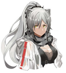 Rule 34 | 1girl, absurdres, animal ear fluff, animal ears, arknights, breasts, cat ears, chinese commentary, commentary request, cropped torso, grey scarf, hair between eyes, highres, jacket, kira (kirakrr), large breasts, long hair, looking at viewer, open clothes, open jacket, partial commentary, scarf, schwarz (arknights), silver hair, simple background, solo, upper body, white background, white jacket, yellow eyes