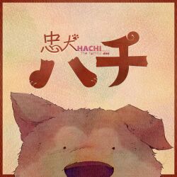 Rule 34 | absurdres, akita inu, album cover, animal, animal ears, border, brown border, brown fur, brown theme, chuuken hachi (tuyu), cover, dog, dog ears, doromizu, hachikou (dog), highres, light brown background, looking at viewer, no humans, official art, outside border, paper texture, simple background, snout, song name, tuyu (band), two-tone fur