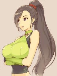 Rule 34 | 1girl, black hair, breasts, dragon quest, dragon quest xi, large breasts, long hair, martina (dq11), morisawa haruyuki, ponytail, purple eyes, solo, standing