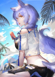 Rule 34 | 1girl, absurdres, animal ears, arknights, ass, bag, beach, bikini, blush, braid, breasts, day, food, hair between eyes, highres, holding, holding food, jacket, large tail, long hair, looking at viewer, official alternate costume, outdoors, popsicle, provence (arknights), provence (casual vacation) (arknights), purple hair, shorts, silver hair, solo, spade-m, swimsuit, tail, thighs, wolf ears, wolf tail, yellow eyes
