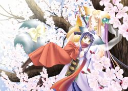 Rule 34 | 2girls, animal ears, blonde hair, blue hair, boots, bow, brown eyes, brown footwear, cherry blossoms, closed eyes, cross-laced footwear, flower, hakama, hakama skirt, hand on another&#039;s head, happy, highres, in tree, japanese clothes, kimono, koma (tail tale), louis&amp;visee, multiple girls, multiple tails, red hakama, red scarf, ribbon, scarf, see-through, sitting, sitting in tree, skirt, soro (tail tale), sword, tail, tail bow, tail ornament, tail tale, tree, veil, weapon