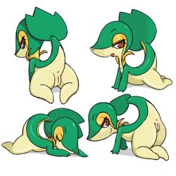Rule 34 | 1girl, anus, ass, bintend9, brown eyes, cleft of venus, closed eyes, creatures (company), furry, furry female, game freak, gen 5 pokemon, half-closed eyes, nintendo, open mouth, pokemon, pokemon (creature), pussy, simple background, smile, snivy, white background