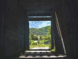 Rule 34 | absurdres, bad id, bad pixiv id, blue sky, cloud, day, fence, forest, highres, landscape, leaf, mirror, mixed-language commentary, mountain, mt. chiyan, nature, no humans, original, road, scenery, shack, shadow, sky, summer, tree, tunnel