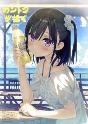 Rule 34 | 1girl, absurdres, bikini, bikini under clothes, black hair, blush, bottle, breasts, cloud, day, from side, hair ornament, hair scrunchie, highres, huge filesize, kantoku, looking at viewer, off-shoulder shirt, off shoulder, one side up, original, outdoors, parted lips, scan, scrunchie, see-through, shirt, shizuku (kantoku), small breasts, solo, striped bikini, striped clothes, sweat, swimsuit, wet, wet clothes, wet shirt