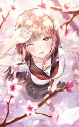 Rule 34 | 1girl, arm up, black footwear, black sailor collar, black skirt, blonde hair, blush, branch, cherry blossoms, flower, from above, hand up, highres, holding, hyonee, long hair, looking at viewer, neckerchief, one eye closed, open mouth, original, outdoors, pink flower, pleated skirt, red neckerchief, sailor collar, school uniform, serafuku, shirt, shoes, short sleeves, skirt, socks, solo, standing, tree, white shirt, white socks, yellow eyes